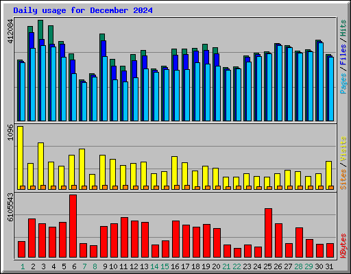 Daily usage for December 2024