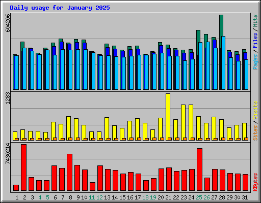 Daily usage for January 2025