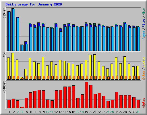Daily usage for January 2026