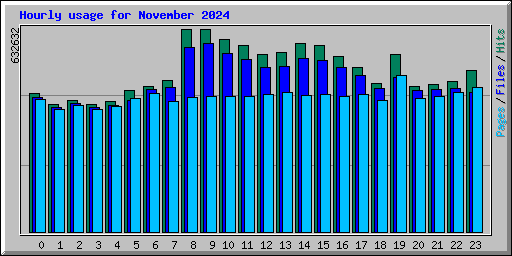 Hourly usage for November 2024