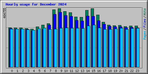Hourly usage for December 2024