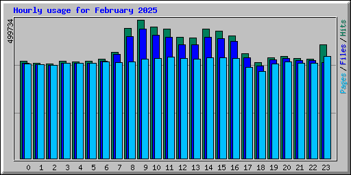 Hourly usage for February 2025