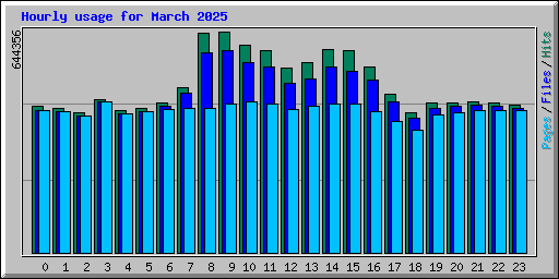Hourly usage for March 2025