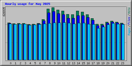 Hourly usage for May 2025