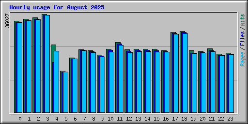 Hourly usage for August 2025