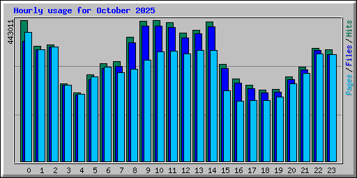 Hourly usage for October 2025
