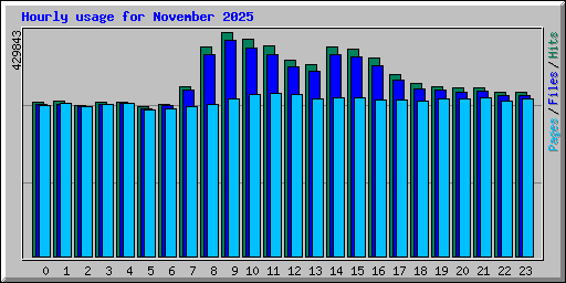 Hourly usage for November 2025