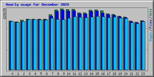 Hourly usage for December 2025