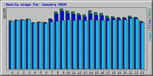 Hourly usage for January 2026